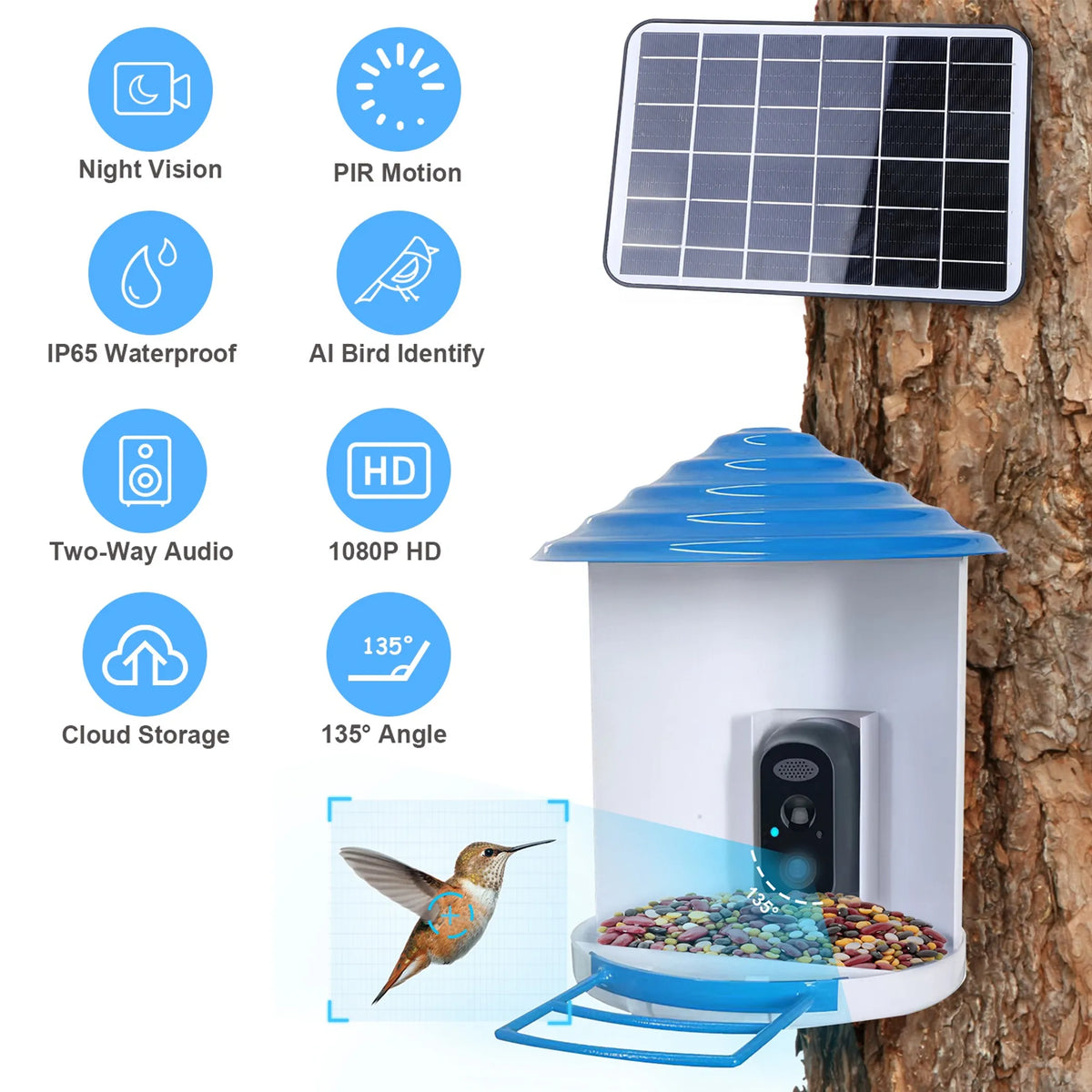 Smart Bird Feeder