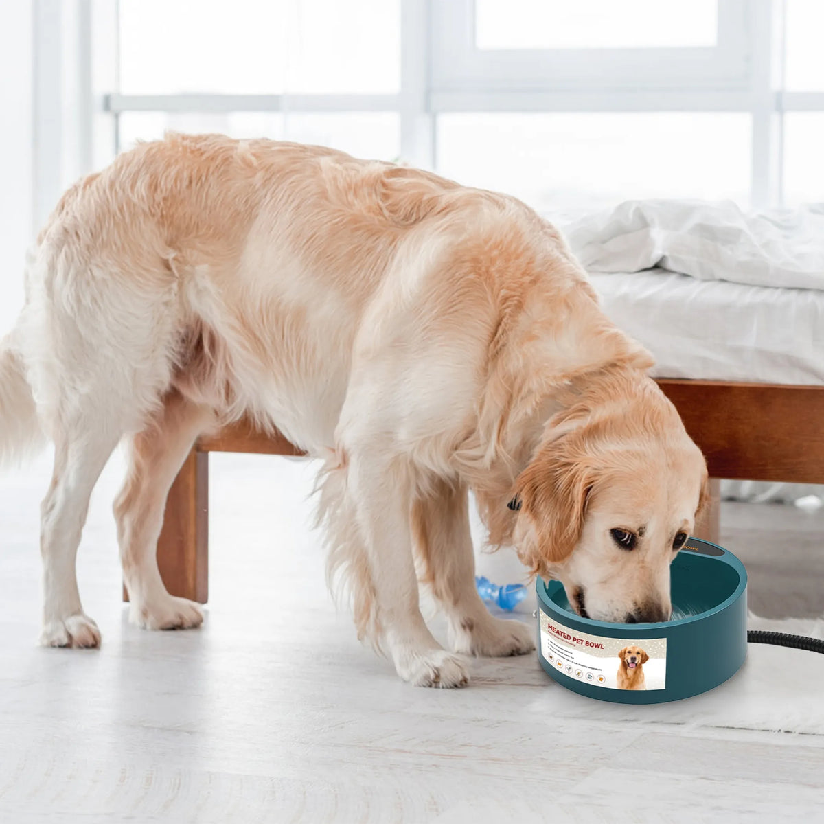 Heated Water Bowl for Dog Cat 74.4OZ Heating Water Dish