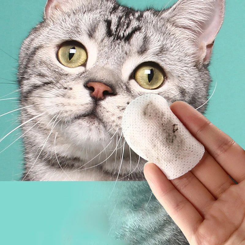 Se0d92a52860b4627a84b09f4296fba2bm